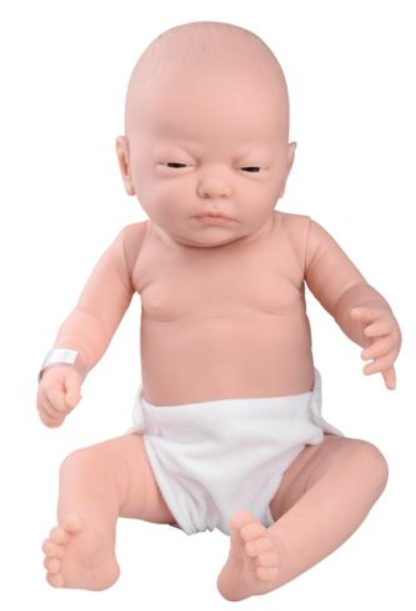Model noworodka chłopca