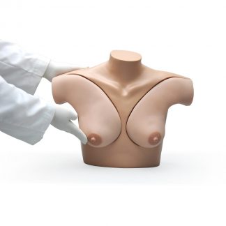 Fantom do nauki badania piersi