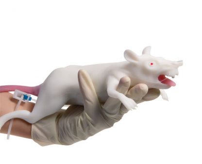 Model szczura laboratoryjnego